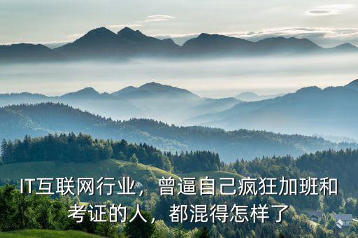 IT互聯(lián)網(wǎng)行業(yè)，曾逼自己瘋狂加班和考證的人，都混得怎樣了
