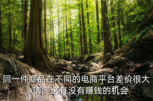 同一件商品在不同的電商平臺差價很大，請問這有沒有賺錢的機會