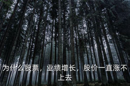 為什么股票，業(yè)績(jī)?cè)鲩L(zhǎng)，股價(jià)一直漲不上去