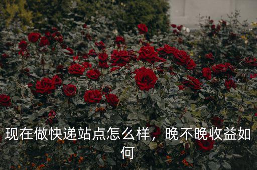 現(xiàn)在做快遞站點(diǎn)怎么樣，晚不晚收益如何
