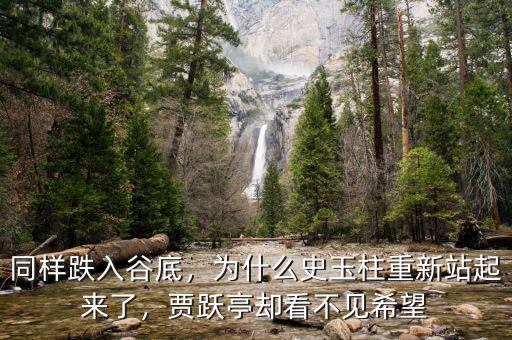 同樣跌入谷底，為什么史玉柱重新站起來(lái)了，賈躍亭卻看不見希望