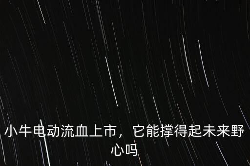 小牛電動(dòng)流血上市，它能撐得起未來野心嗎