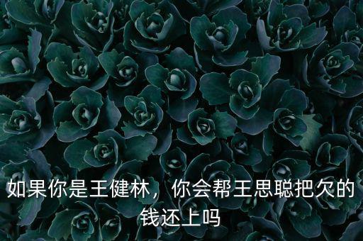 如果你是王健林，你會幫王思聰把欠的錢還上嗎