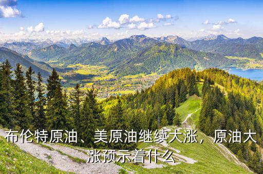 布倫特原油、美原油繼續(xù)大漲，原油大漲預示著什么