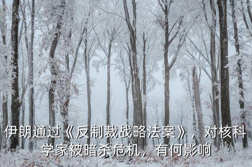 伊朗通過《反制裁戰(zhàn)略法案》，對核科學(xué)家被暗殺危機(jī)，有何影響