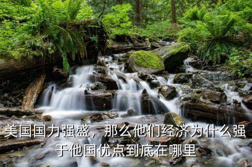 美國(guó)國(guó)力強(qiáng)盛，那么他們經(jīng)濟(jì)為什么強(qiáng)于他國(guó)優(yōu)點(diǎn)到底在哪里