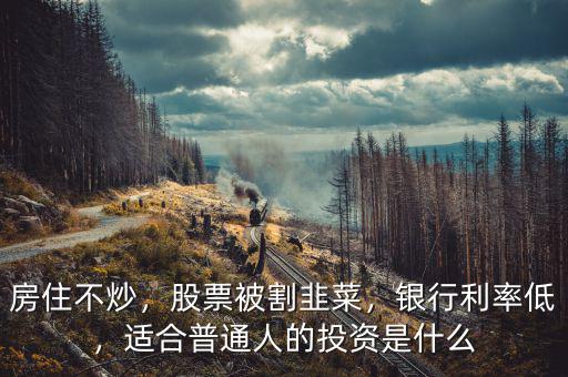 房住不炒，股票被割韭菜，銀行利率低，適合普通人的投資是什么