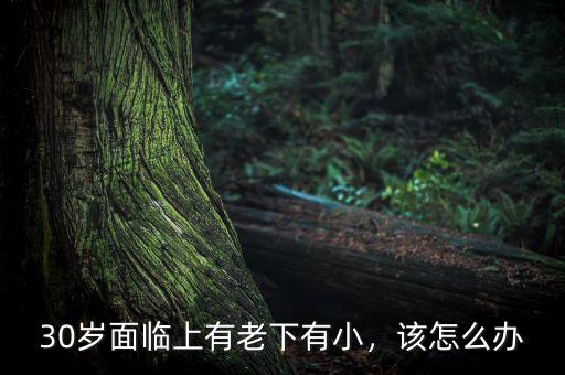 30歲面臨上有老下有小，該怎么辦