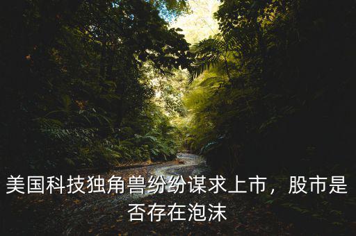 美國科技獨(dú)角獸紛紛謀求上市，股市是否存在泡沫