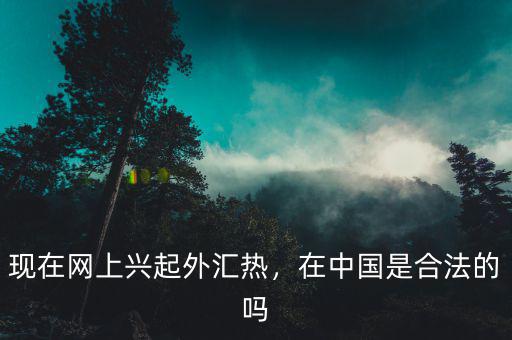現(xiàn)在網(wǎng)上興起外匯熱，在中國是合法的嗎