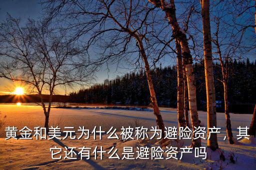 黃金和美元為什么被稱為避險資產(chǎn)，其它還有什么是避險資產(chǎn)嗎