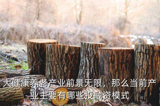 大健康養(yǎng)老產(chǎn)業(yè)前景無限，那么當前產(chǎn)業(yè)主要有哪些投融資模式