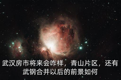 武漢房市將來會咋樣，青山片區(qū)，還有武鋼合并以后的前景如何
