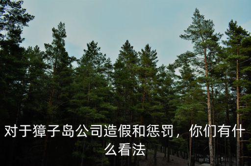對(duì)于獐子島公司造假和懲罰，你們有什么看法