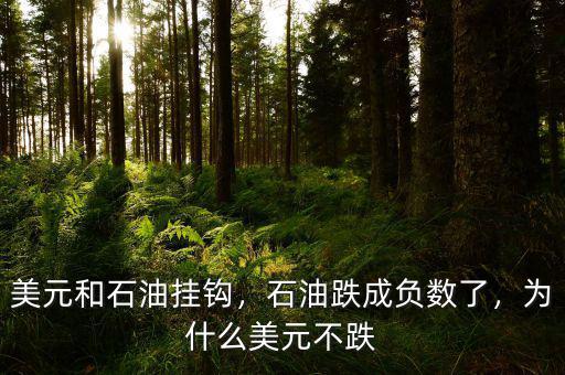 美元和石油掛鉤，石油跌成負(fù)數(shù)了，為什么美元不跌
