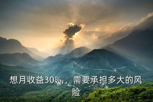 想月收益30%,，需要承擔(dān)多大的風(fēng)險