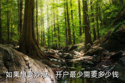 如果想要炒股，開(kāi)戶(hù)最少需要多少錢(qián)