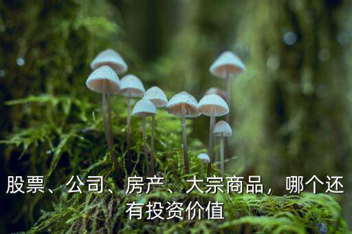 股票、公司、房產(chǎn)、大宗商品，哪個還有投資價值