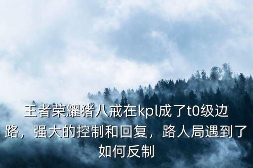 王者榮耀豬八戒在kpl成了t0級邊路，強大的控制和回復，路人局遇到了如何反制