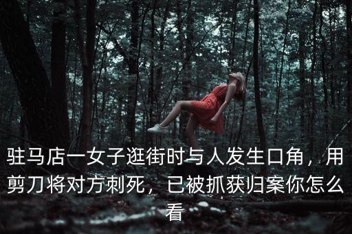 駐馬店一女子逛街時(shí)與人發(fā)生口角，用剪刀將對(duì)方刺死，已被抓獲歸案你怎么看