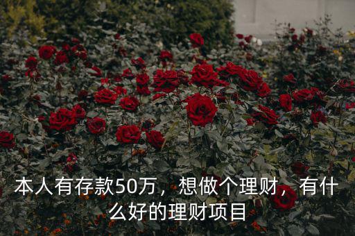 本人有存款50萬，想做個理財，有什么好的理財項目