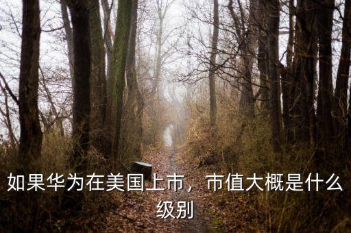 如果華為在美國上市，市值大概是什么級別