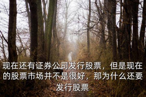 現(xiàn)在還有證券公司發(fā)行股票，但是現(xiàn)在的股票市場(chǎng)并不是很好，那為什么還要發(fā)行股票
