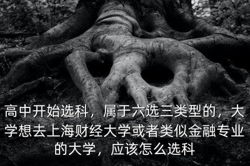 高中開始選科，屬于六選三類型的，大學想去上海財經(jīng)大學或者類似金融專業(yè)的大學，應該怎么選科