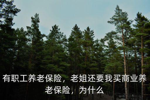 有職工養(yǎng)老保險，老姐還要我買商業(yè)養(yǎng)老保險，為什么