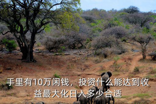 手里有10萬閑錢，投資什么能達(dá)到收益最大化日入多少合適