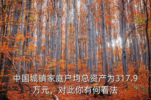 中國(guó)城鎮(zhèn)家庭戶均總資產(chǎn)為317.9萬(wàn)元，對(duì)此你有何看法