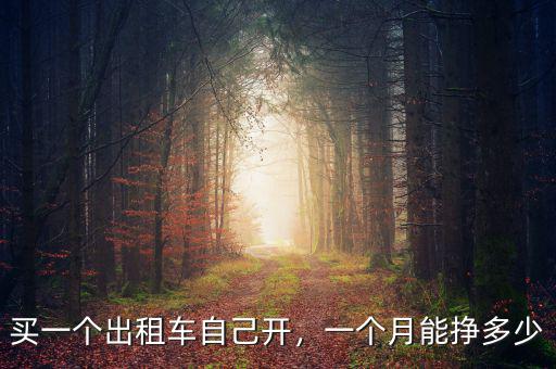 買一個出租車自己開，一個月能掙多少