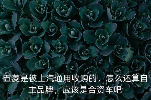 五菱是被上汽通用收購的，怎么還算自主品牌，應(yīng)該是合資車吧