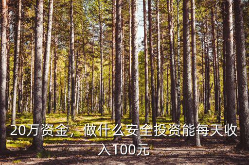 20萬資金，做什么安全投資能每天收入100元