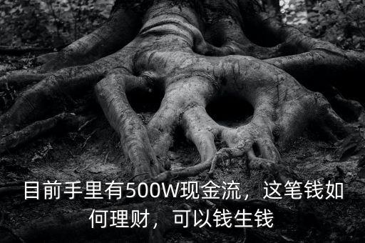 目前手里有500W現(xiàn)金流，這筆錢如何理財，可以錢生錢