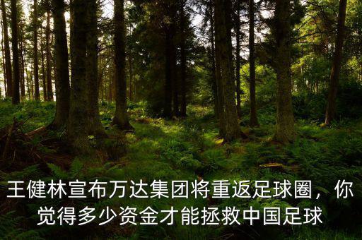 王健林宣布萬達集團將重返足球圈，你覺得多少資金才能拯救中國足球