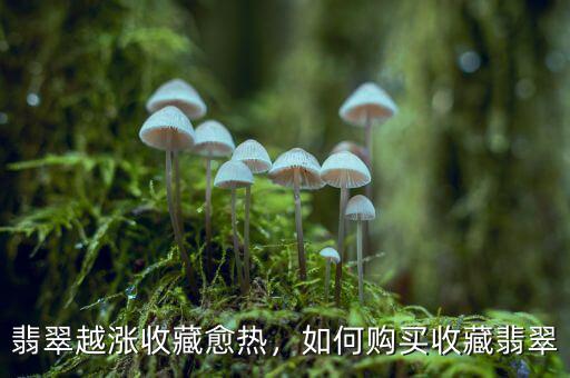 翡翠越漲收藏愈熱，如何購買收藏翡翠