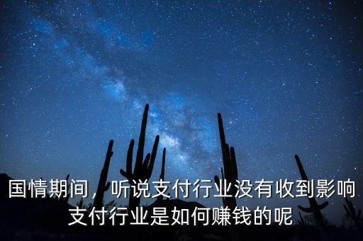 國情期間，聽說支付行業(yè)沒有收到影響支付行業(yè)是如何賺錢的呢