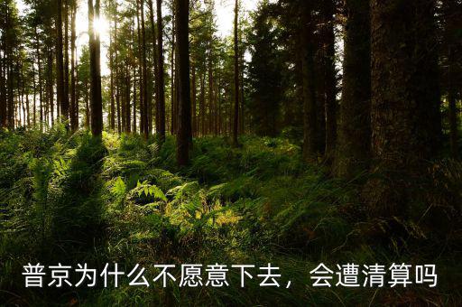 普京為什么不愿意下去，會(huì)遭清算嗎