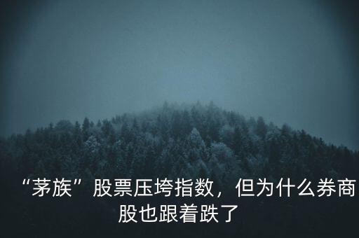 “茅族”股票壓垮指數(shù)，但為什么券商股也跟著跌了