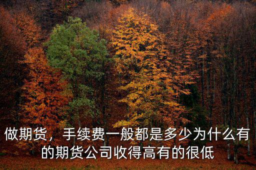 做期貨，手續(xù)費一般都是多少為什么有的期貨公司收得高有的很低