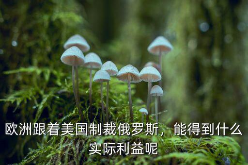 歐洲跟著美國制裁俄羅斯，能得到什么實際利益呢