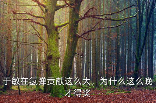 于敏在氫彈貢獻這么大，為什么這么晚才得獎