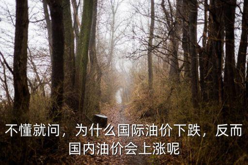 不懂就問(wèn)，為什么國(guó)際油價(jià)下跌，反而國(guó)內(nèi)油價(jià)會(huì)上漲呢