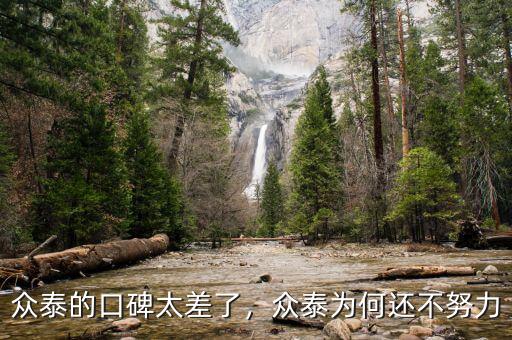 眾泰的口碑太差了，眾泰為何還不努力