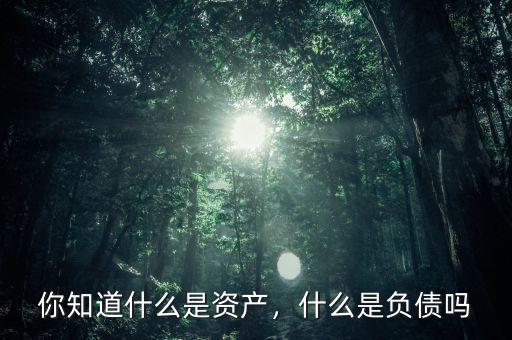 你知道什么是資產(chǎn)，什么是負(fù)債嗎