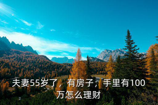 夫妻55歲了，有房子，手里有100萬怎么理財