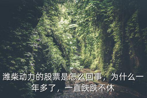 濰柴動力的股票是怎么回事，為什么一年多了，一直跌跌不休