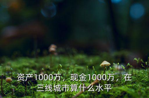 資產(chǎn)1000萬，現(xiàn)金1000萬，在三線城市算什么水平