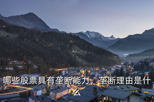哪些股票具有壟斷能力，壟斷理由是什么